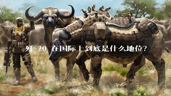 歼-20 在国际上到底是什么地位？